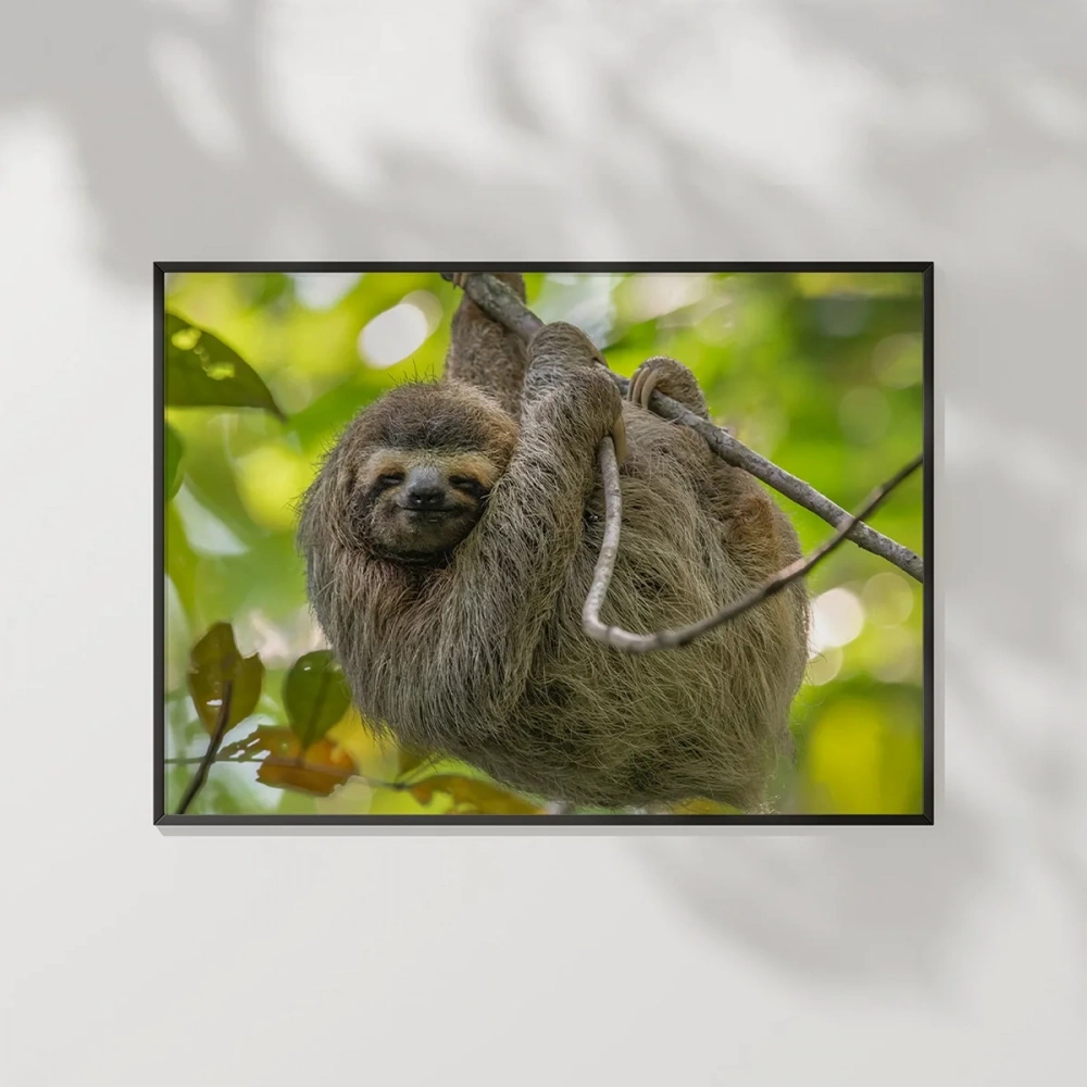 Tembel Hayvan Zamanı Poster