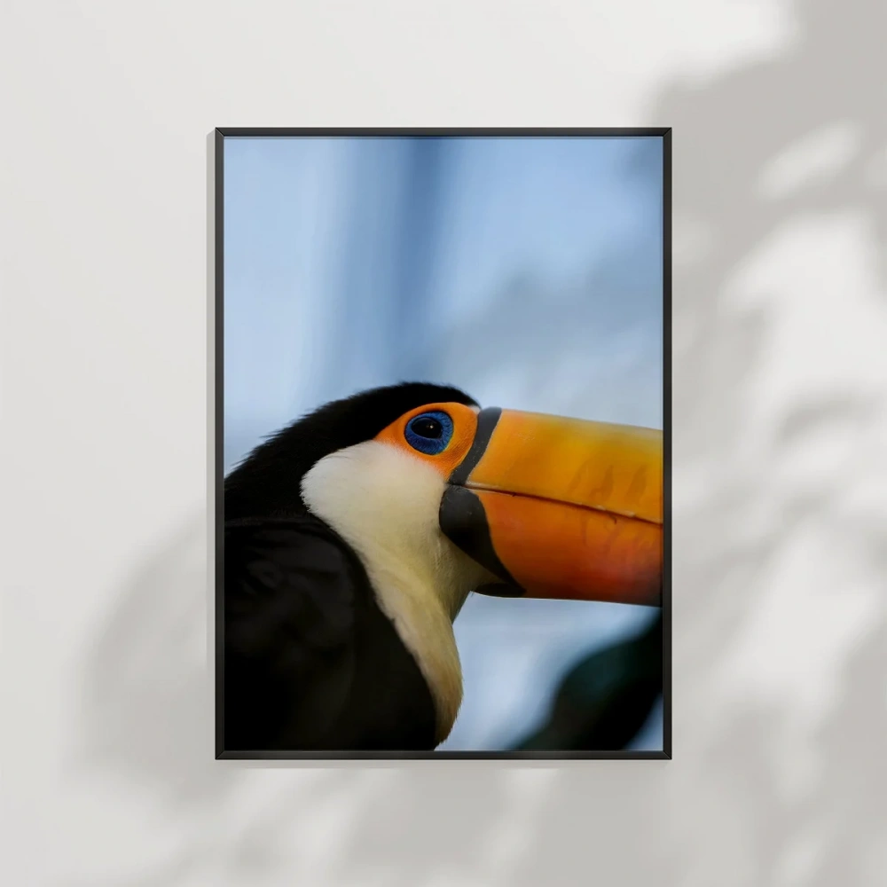 Tukan Kuşu Portresi