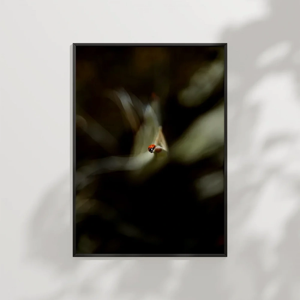 Uçan Küçük Kuş Poster