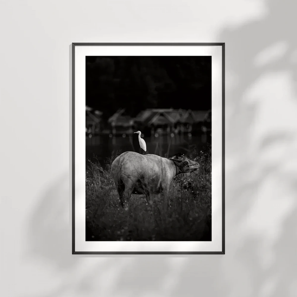 Uyumun Sessizliği Poster