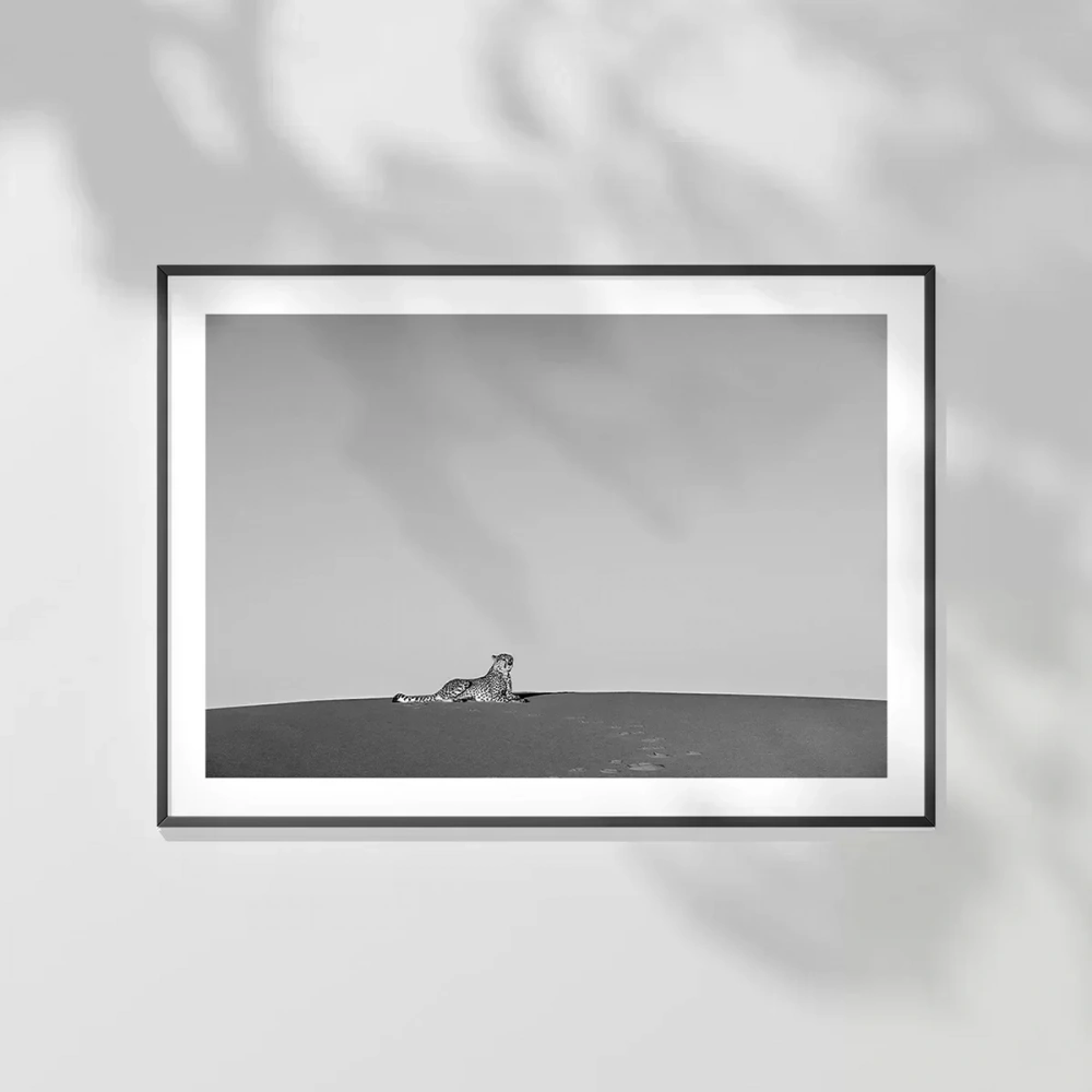 Vahşi Yalnızlık Poster