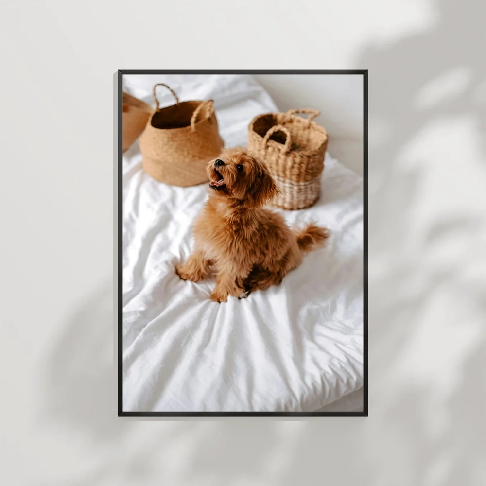 Yatak Üstünde Yatan Köpek Poster