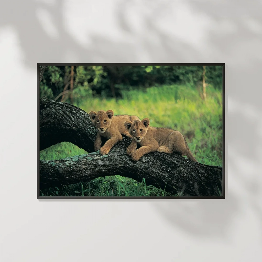 Yavru Aslanlar Poster