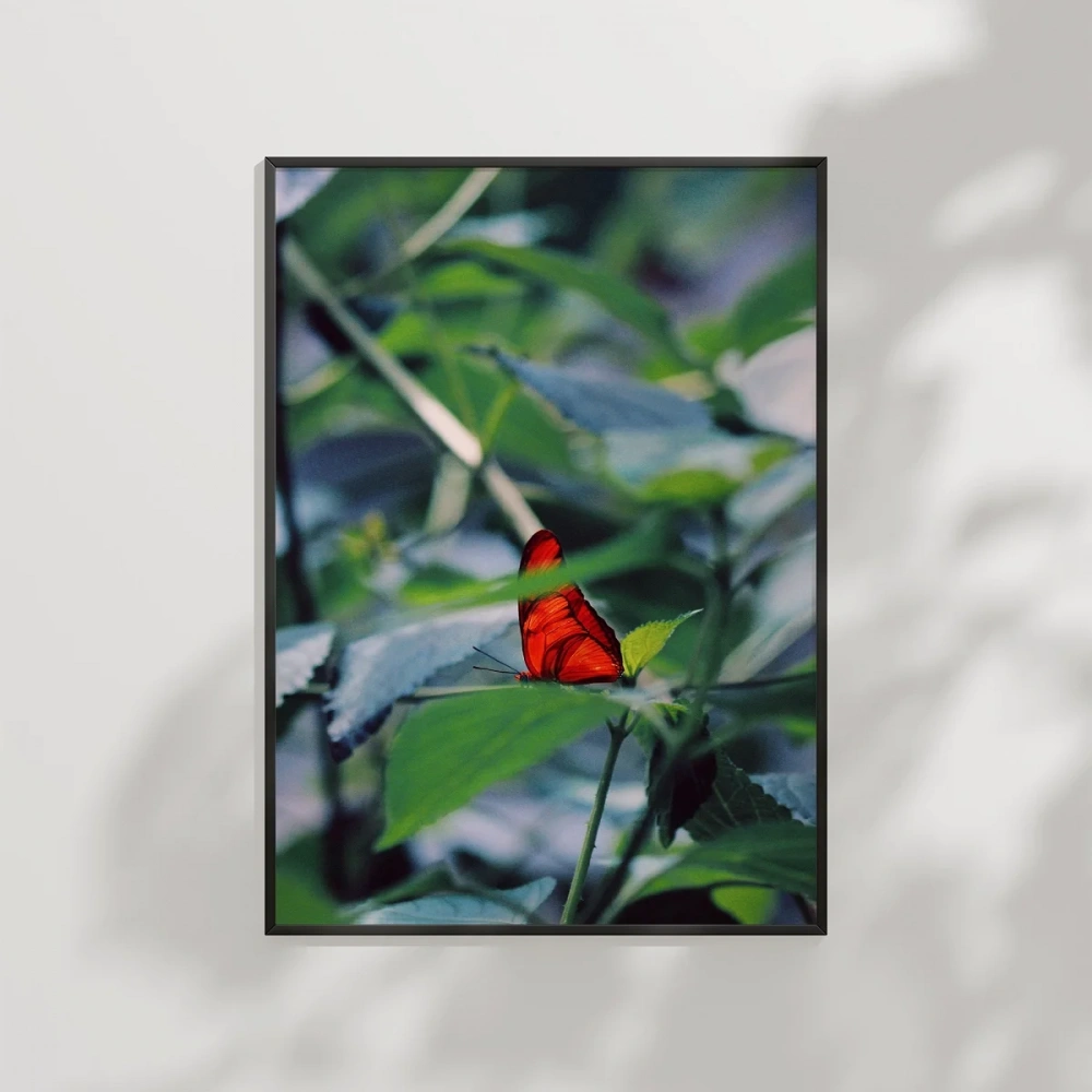 Yeşil Yaprak Üzerinde Kırmızı Kelebek Poster