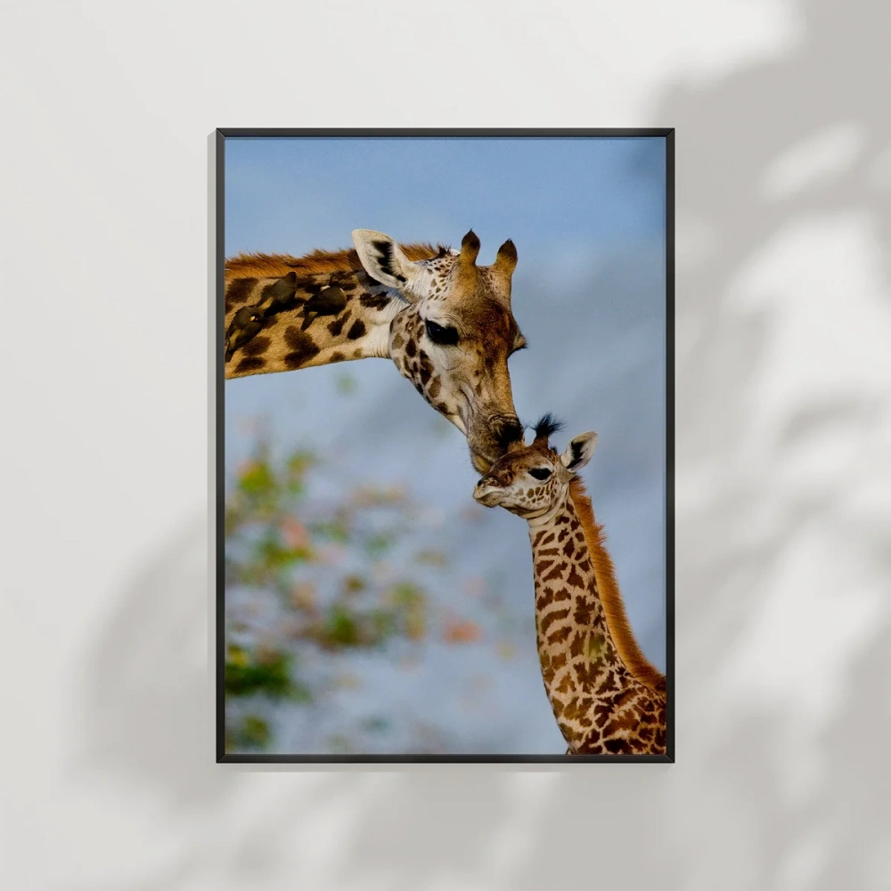 Zürafa Anne ve Yavru Poster