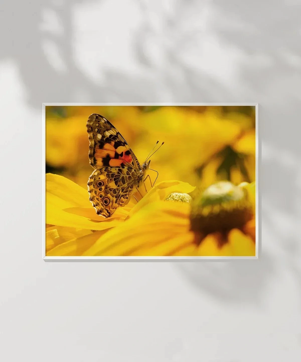 Ayçiçeği ve Kelebek Poster