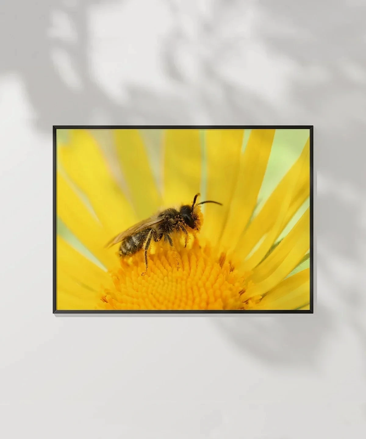 Güneş Altında Arı Poster