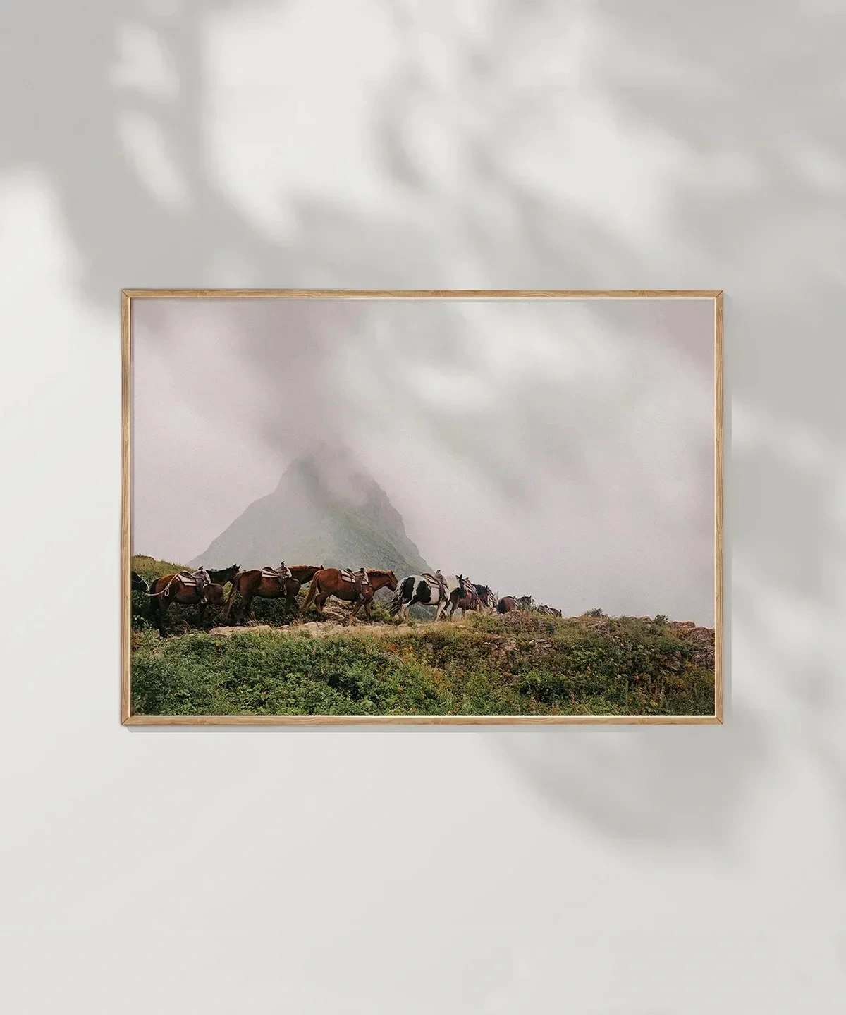 Dağlarda İnek Sürüsü Poster