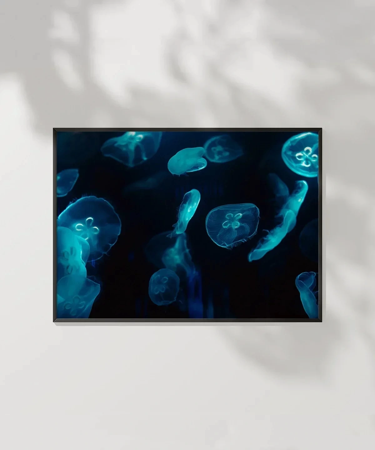 Deniz Hayvanları Poster