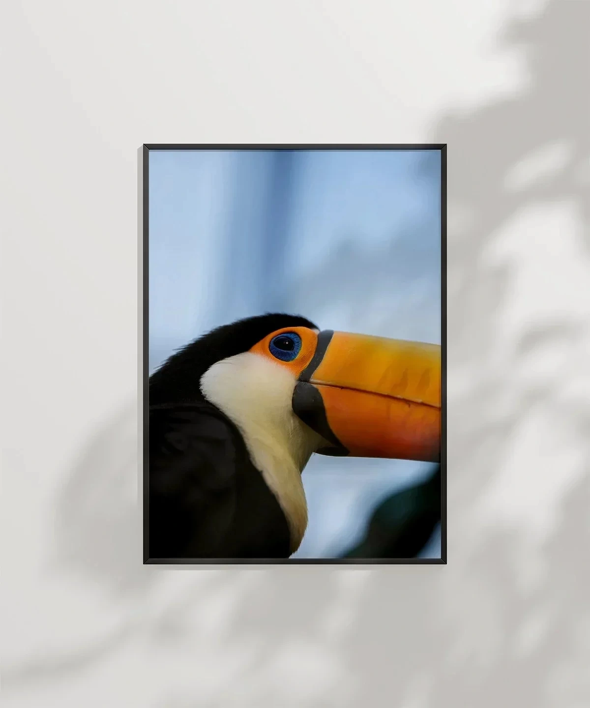 Tukan Kuşu Portresi