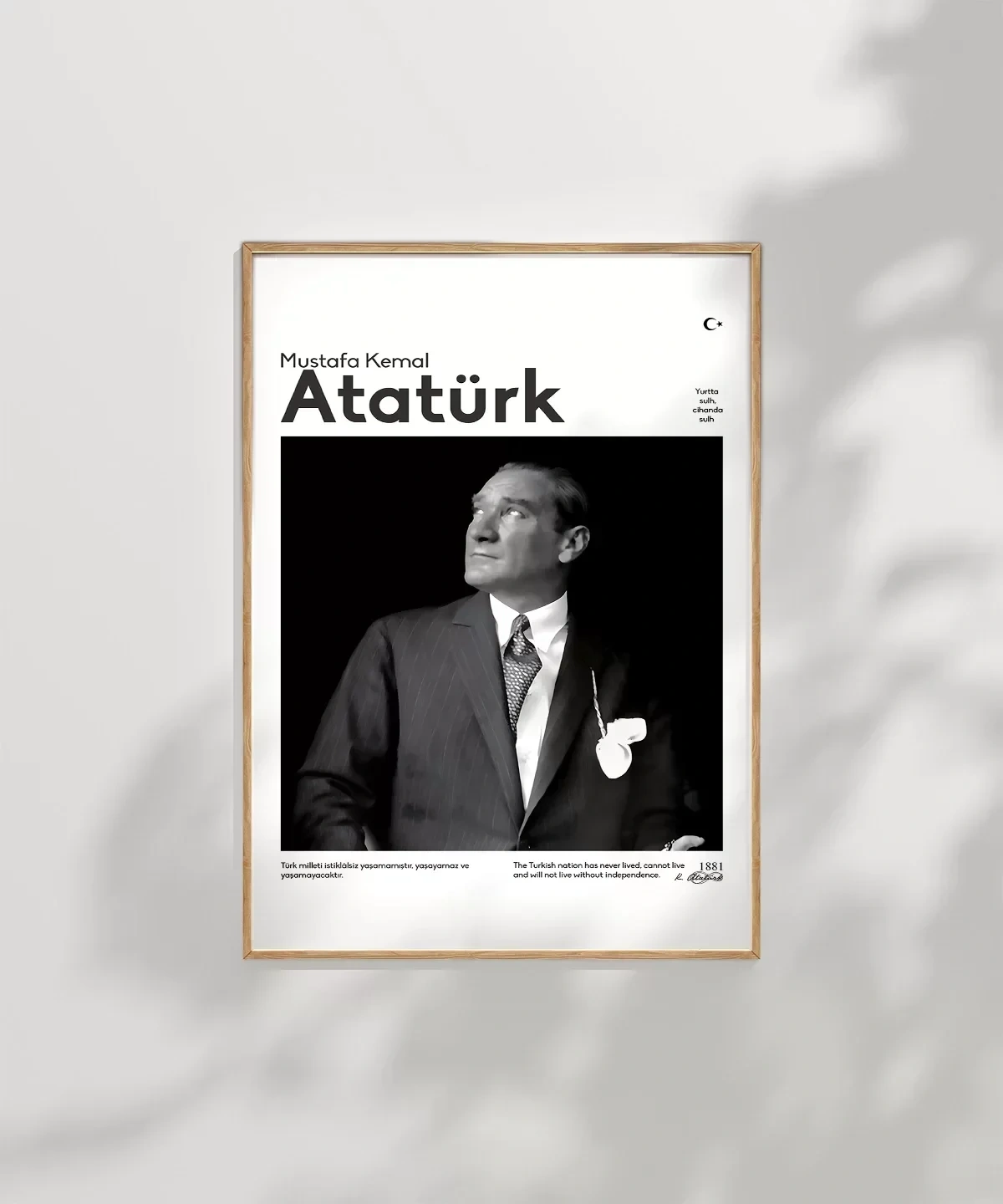 Bağımsızlığa Adanmış Bir Ömür Poster