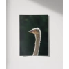 1. Devekuşu Portresi Poster