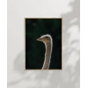 1. Devekuşu Portresi Poster