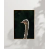 1. Devekuşu Portresi Poster