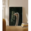 1. Devekuşu Portresi Poster