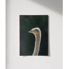 1. Devekuşu Portresi Poster