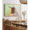 1. Kolibri Kuşu Poster