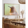 1. Kolibri Kuşu Poster