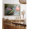 1. Nektar İçindeki Hummingbird Poster