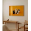 1. Renkli Kedi Üçlüsü Poster