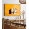 1. Renkli Kedi Üçlüsü Poster