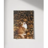 1. Sonbaharda Kedi Poster