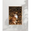 1. Sonbaharda Kedi Poster