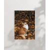 1. Sonbaharda Kedi Poster