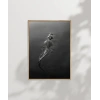 1. Suda Yüzen Timsah Poster