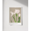 Ogawa Kazumasa Beyaz Süsen Poster