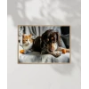 Kedi ve Köpek Dostluğu Poster