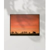 Afrika Gün Batımı Poster