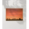 Afrika Gün Batımı Poster
