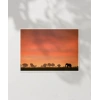 Afrika Gün Batımı Poster