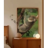 Ağaçta Uyuyan Koala Poster