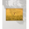 Altın Tarlada Geyik Poster