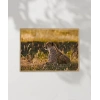 Avcı Leopar Poster