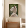 Beyaz Alpaka Poster