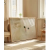 Beyaz Kedi Poster