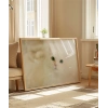 Beyaz Kedi Poster