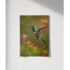 Çiçekler Arasında Sinek Kuşu Poster
