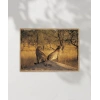 Çift Yırtıcı Kuşlar Poster
