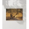 Çift Yırtıcı Kuşlar Poster