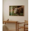Çiftlik Sığırı Poster