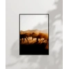 Çöl Gün Batımında Develer Poster