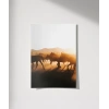 Çöl Gün Batımında Develer Poster
