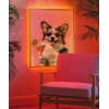 Corginin Pembe Gözlük Stili Poster