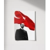 Cumhuriyetin Işığı Poster