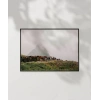 Dağlarda İnek Sürüsü Poster