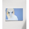 Deniz Kuşu Poster